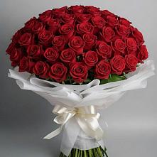 Букет 101 Красная роза Блэк Мэджик в Нижнедевицком