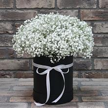 Цветочная композиция из Гипсофила в шляпной коробке в Нижнедевицком