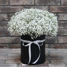 Цветочная композиция из Гипсофила в шляпной коробке в Нижнедевицком