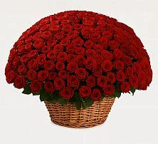 Премиум букет из: Розы в Нижнедевицком